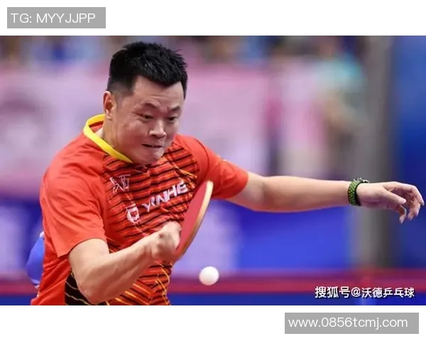 王磊专访：从青涩少年到乒乓球冠军的奋斗历程回顾