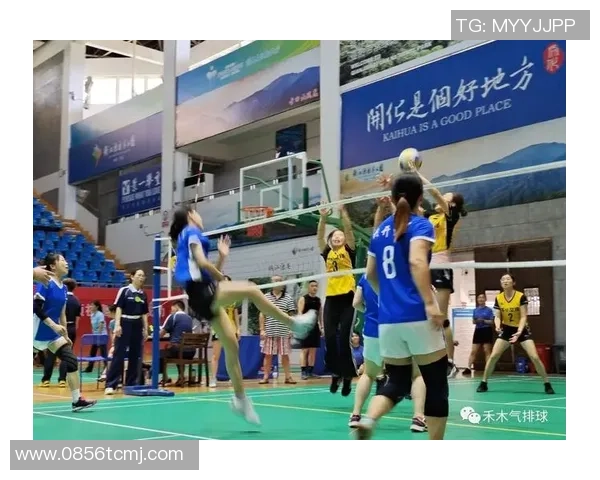 西安排球队比赛经验引发热议球迷观点各异探讨战术与表现