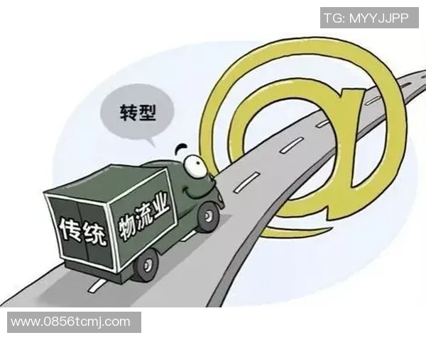 重庆排球队转型之路揭秘:从传统强队到现代化竞技新标杆