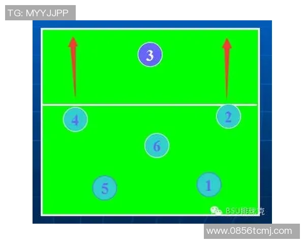 世界锦标赛点评：武汉排球队的战术表现